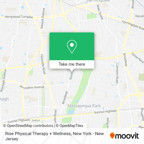 Rise Physical Therapy + Wellness map