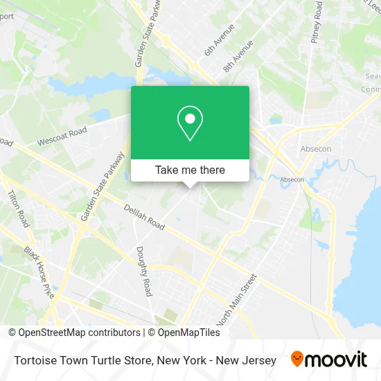 Tortoise Town Turtle Store map