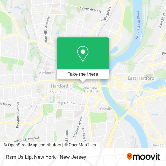 Rsm Us Llp map