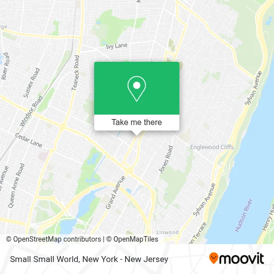 Small Small World map