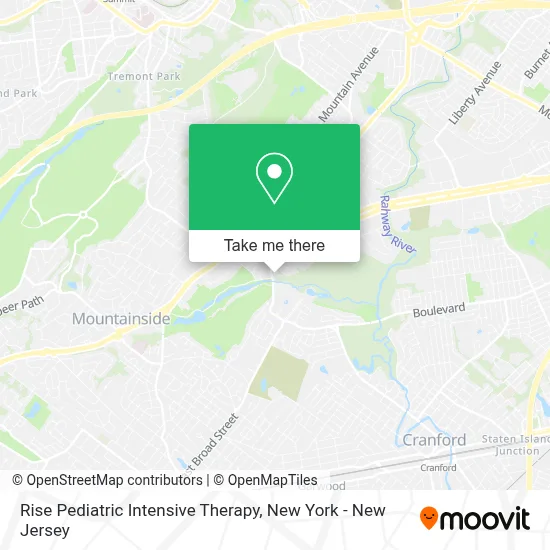 Rise Pediatric Intensive Therapy map