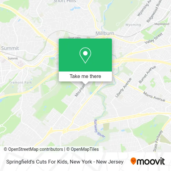 Springfield's Cuts For Kids map