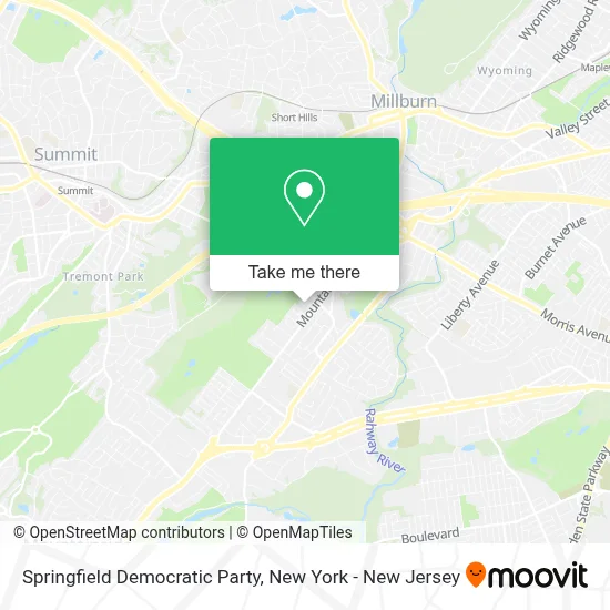 Springfield Democratic Party map