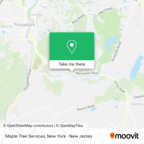Maple Tree Services map