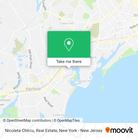 Nicoleta Chircu, Real Estate map