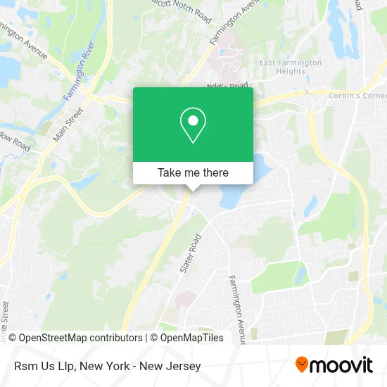 Rsm Us Llp map