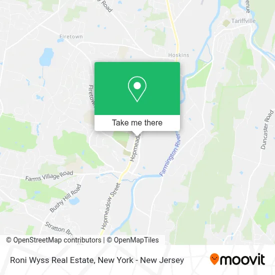 Roni Wyss Real Estate map
