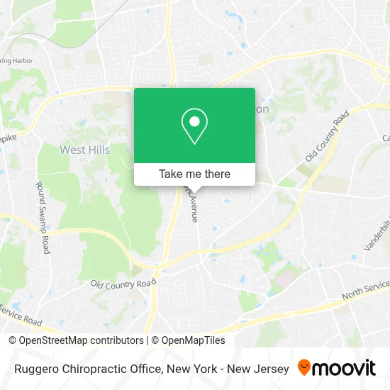 Ruggero Chiropractic Office map