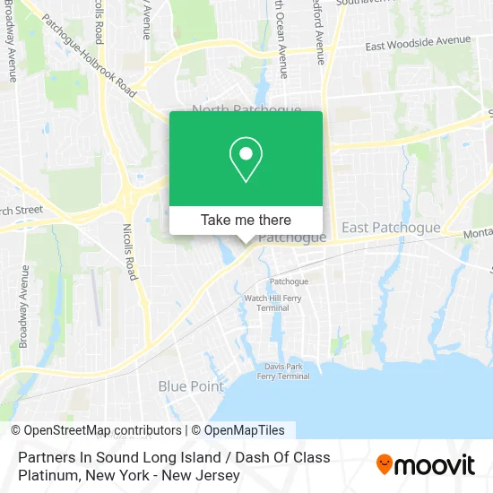 Partners In Sound Long Island / Dash Of Class Platinum map