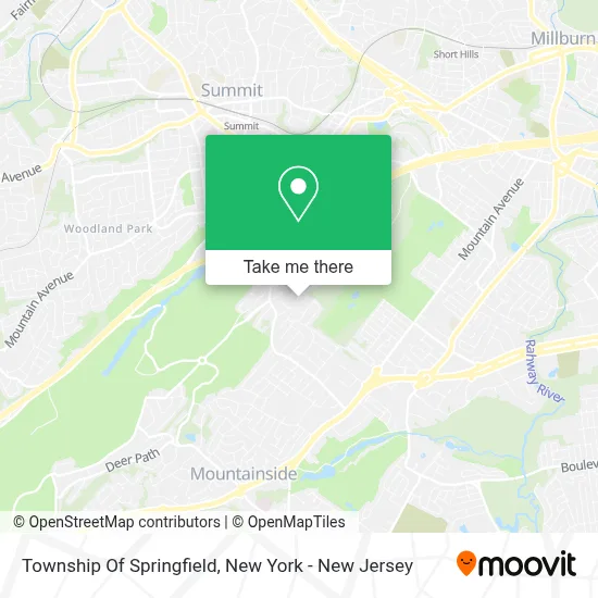 Township Of Springfield map