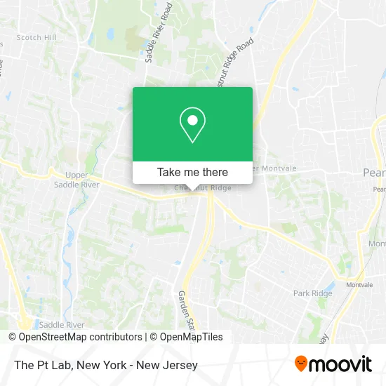 The Pt Lab map