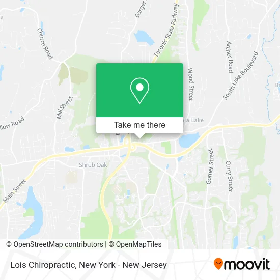 Lois Chiropractic map