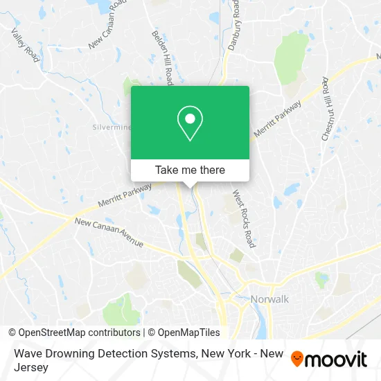 Wave Drowning Detection Systems map