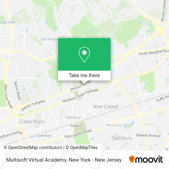 Multisoft Virtual Academy map