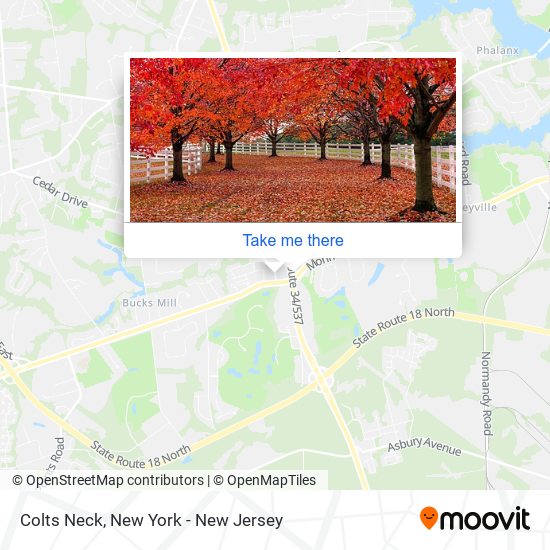 Colts Neck map