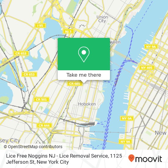 Mapa de Lice Free Noggins NJ - Lice Removal Service, 1125 Jefferson St
