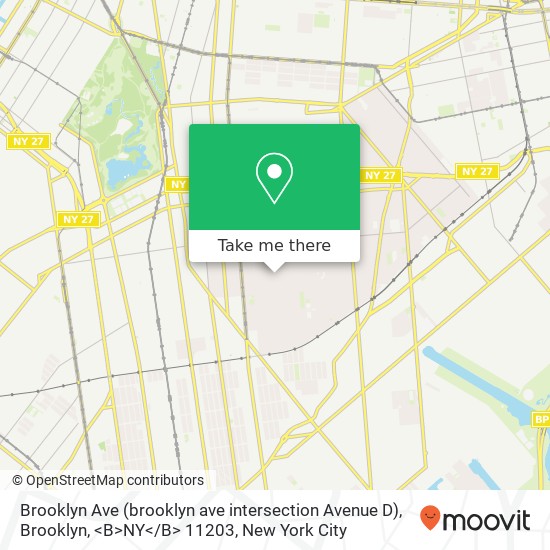 Brooklyn Ave (brooklyn ave intersection Avenue D), Brooklyn, <B>NY< / B> 11203 map