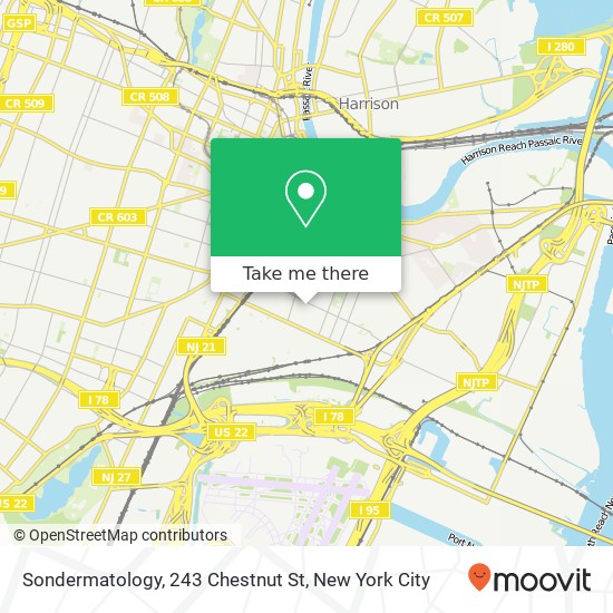 Mapa de Sondermatology, 243 Chestnut St