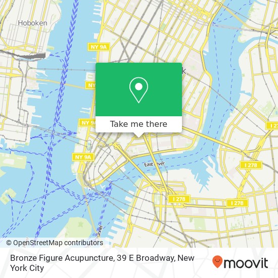 Bronze Figure Acupuncture, 39 E Broadway map