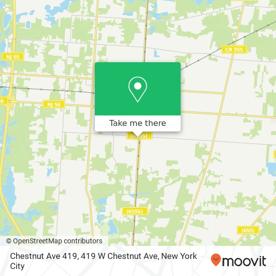 Mapa de Chestnut Ave 419, 419 W Chestnut Ave