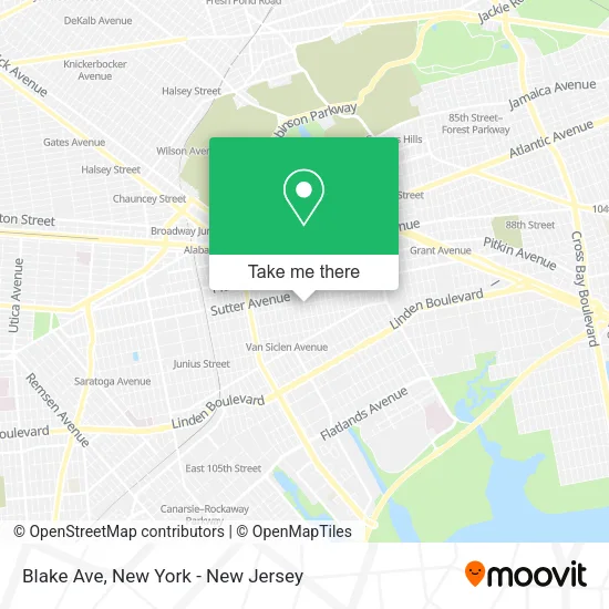 Blake Ave map