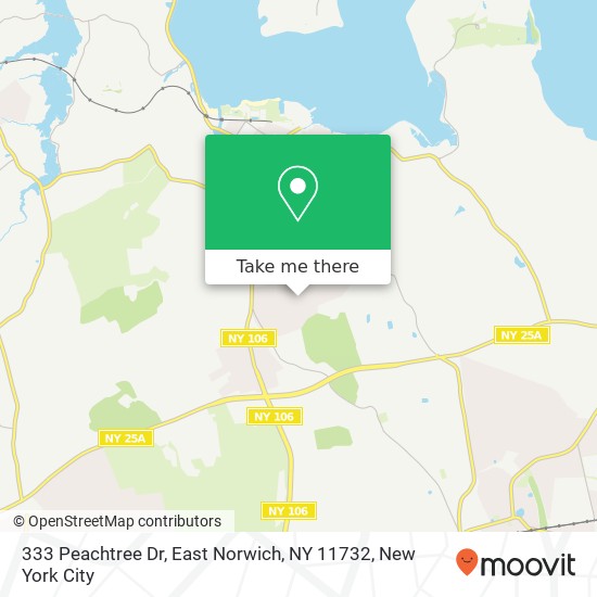Mapa de 333 Peachtree Dr, East Norwich, NY 11732
