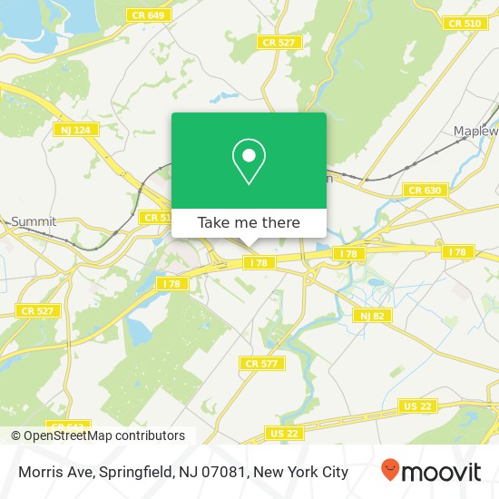 Mapa de Morris Ave, Springfield, NJ 07081