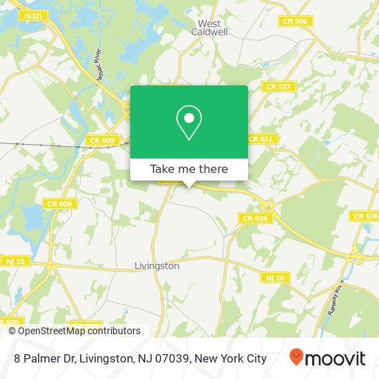 8 Palmer Dr, Livingston, NJ 07039 map