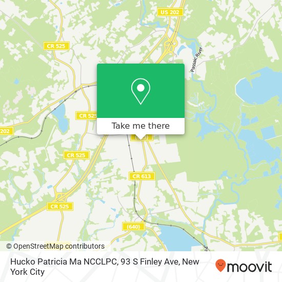 Hucko Patricia Ma NCCLPC, 93 S Finley Ave map