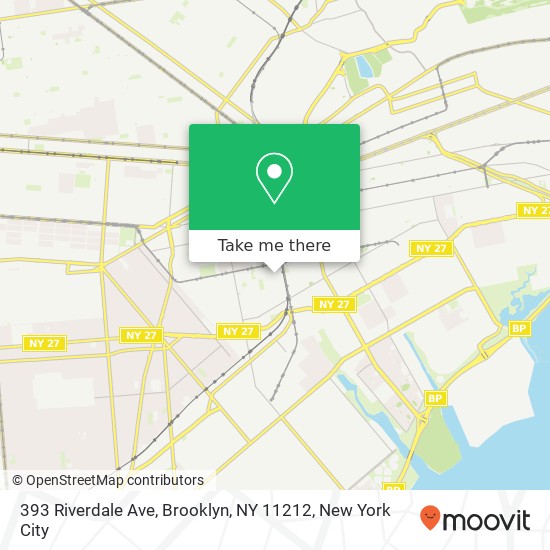 393 Riverdale Ave, Brooklyn, NY 11212 map