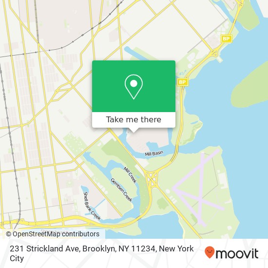 231 Strickland Ave, Brooklyn, NY 11234 map