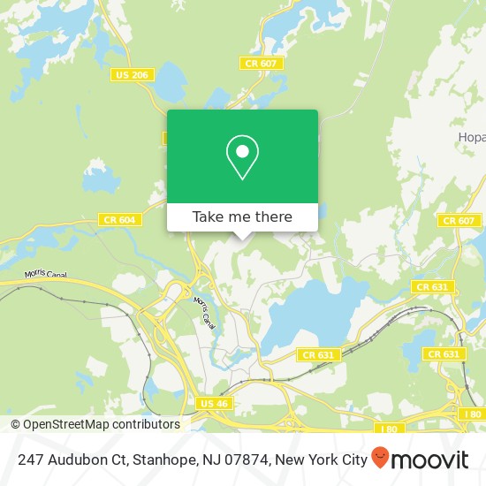 Mapa de 247 Audubon Ct, Stanhope, NJ 07874