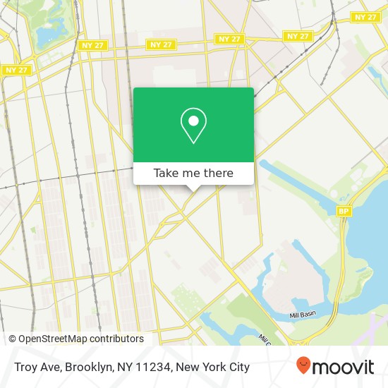 Mapa de Troy Ave, Brooklyn, NY 11234