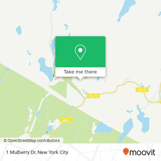 Mapa de 1 Mulberry Dr, Tuxedo Park, NY 10987