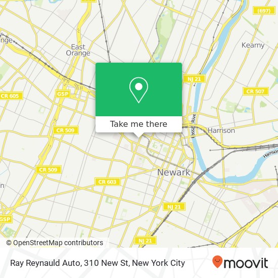 Mapa de Ray Reynauld Auto, 310 New St