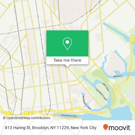 813 Haring St, Brooklyn, NY 11229 map