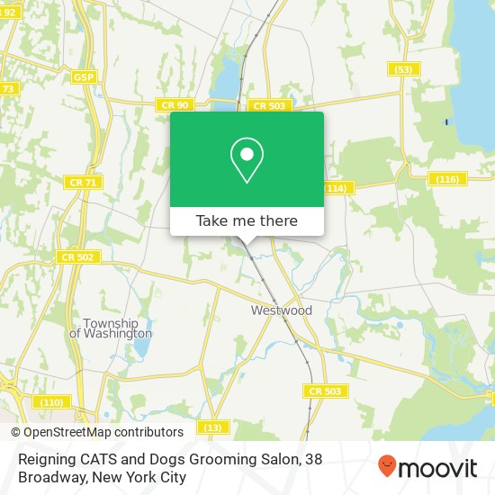Mapa de Reigning CATS and Dogs Grooming Salon, 38 Broadway