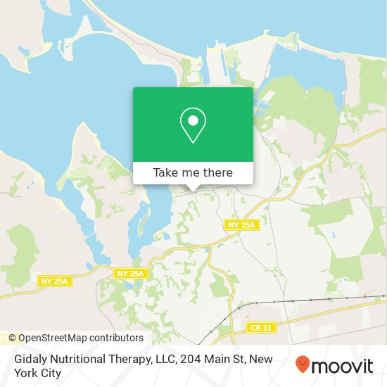Mapa de Gidaly Nutritional Therapy, LLC, 204 Main St