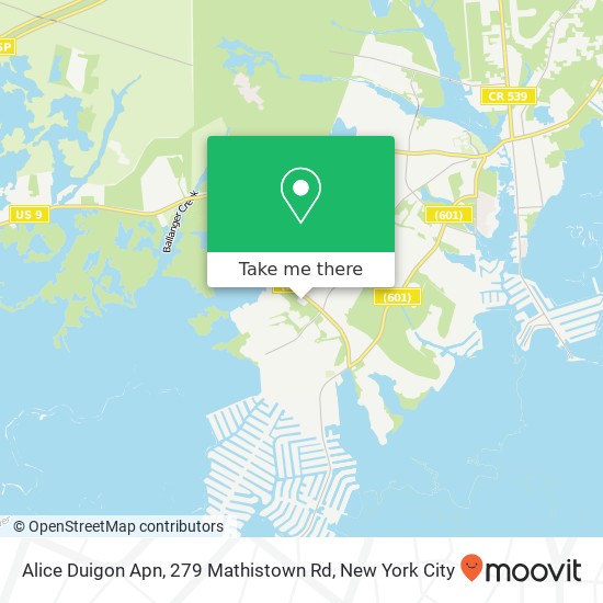 Alice Duigon Apn, 279 Mathistown Rd map