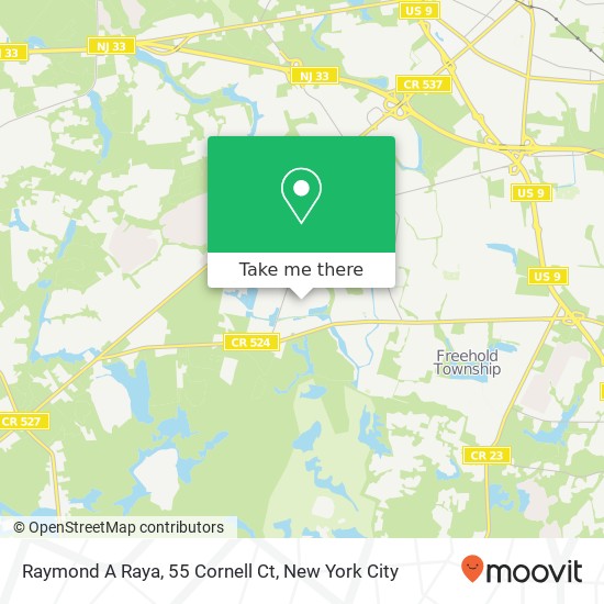 Raymond A Raya, 55 Cornell Ct map