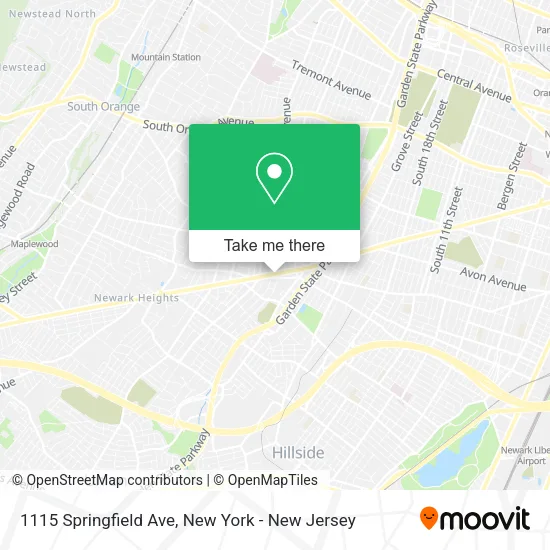 1115 Springfield Ave map