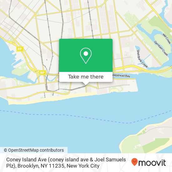 Coney Island Ave (coney island ave & Joel Samuels Plz), Brooklyn, NY 11235 map