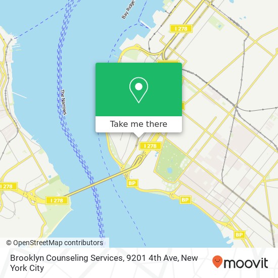 Brooklyn Counseling Services, 9201 4th Ave map