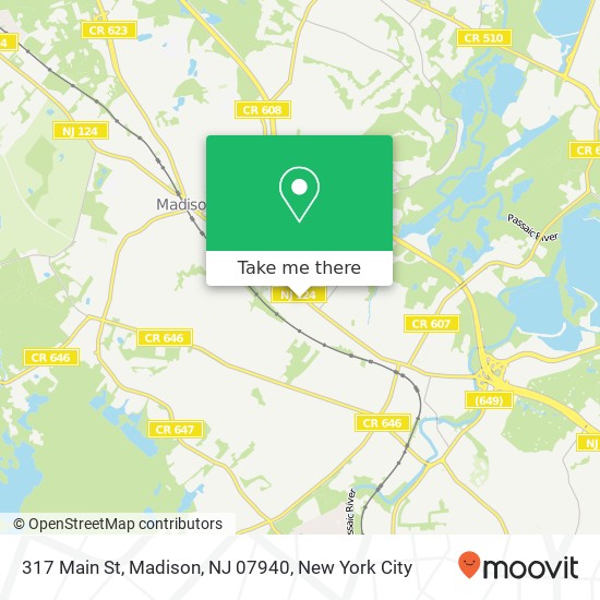 Mapa de 317 Main St, Madison, NJ 07940