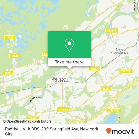 Mapa de Radtke L V Jr DDS, 299 Springfield Ave