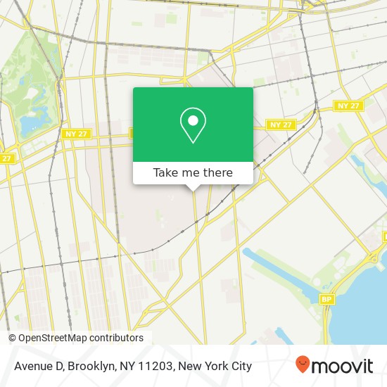 Avenue D, Brooklyn, NY 11203 map