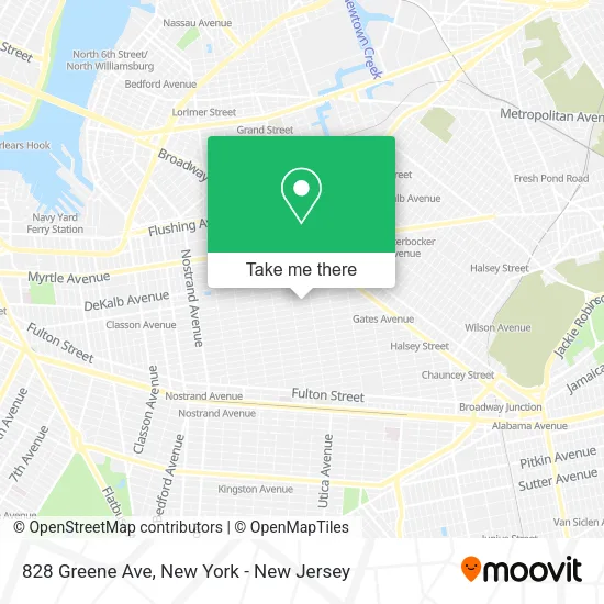 828 Greene Ave map