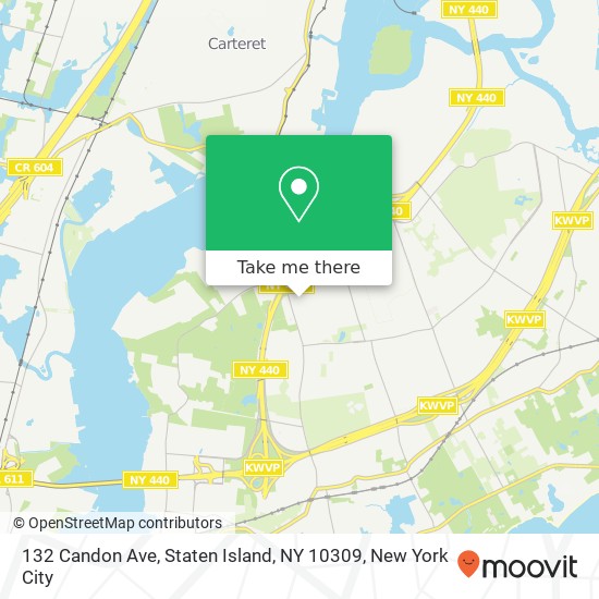 132 Candon Ave, Staten Island, NY 10309 map