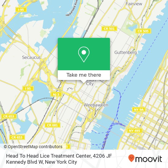 Head To Head Lice Treatment Center, 4206 JF Kennedy Blvd W map