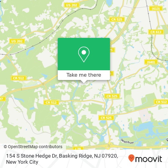 Mapa de 154 S Stone Hedge Dr, Basking Ridge, NJ 07920